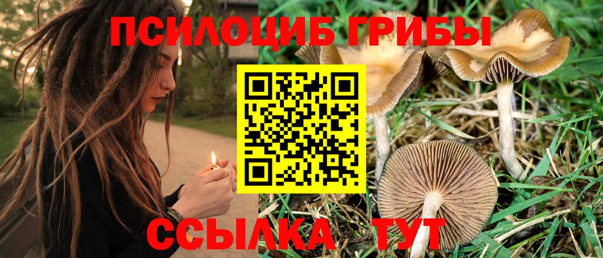 Галлюциногенные грибы Psilocybe  Вход с VPN  Отрадное 