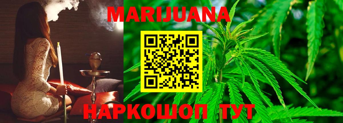 Марихуана сатива Отрадное